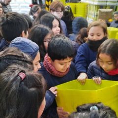 Actividades