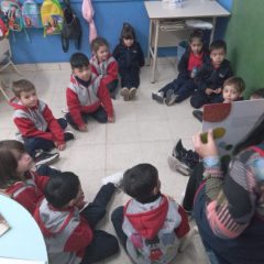 Actividades